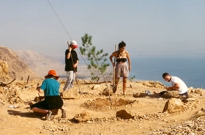 Tree of Peace — World Wheel site near the Dead Sea, Palestine / Israel
